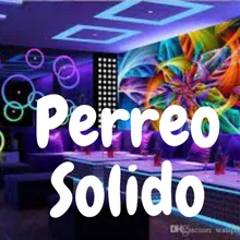 Perreo Solido