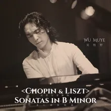 Piano Sonata in B Minor, S. 178: Allegro energico