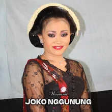 Joko Nggunung