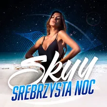 Srebrzysta noc Radio Edit