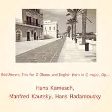 Trio in C major, op. 87: III. Menuetto (allegro molto - scherzo)