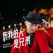 伤我的人是兄弟 DJ Version