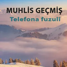 Telefona Fuzulî