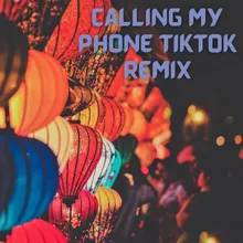 Calling My Phone TikTok Remix