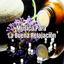 Musica Para La Buena Relajación