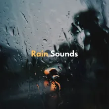 City Rain Sounds