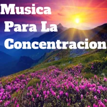 Musica para Estar Solo y Meditacion