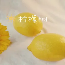 柠檬树