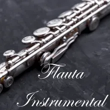 Flauta Instrumental