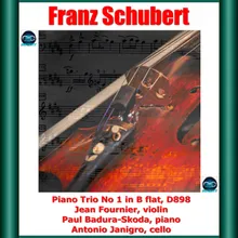 Piano Trio No. 1 in B-Flat Major, D898: I. Allegro moderato