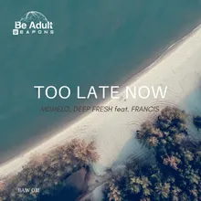 Too Late Now Lounge Remix
