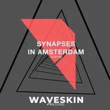 Synapses in Amsterdam