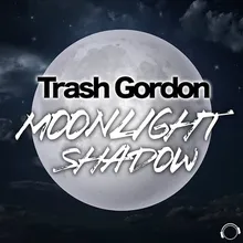 Moonlight Shadow Radio Edit
