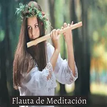 Flauta de Meditación