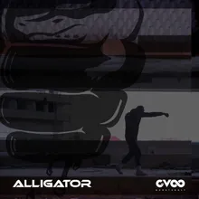 Alligator