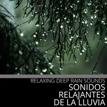 Relaxing Rain Sound Sonidos Relajantes De La Lluvia