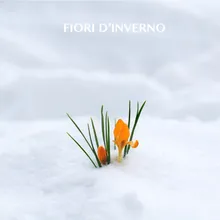 Fiori D'inverno