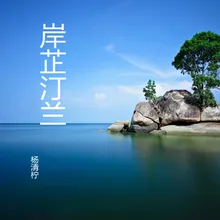 禅房梅影 古筝