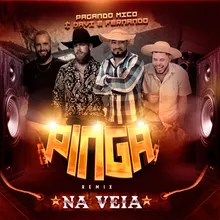 Pinga na Veia Remix