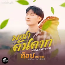 พญาคันคาก Cover Version