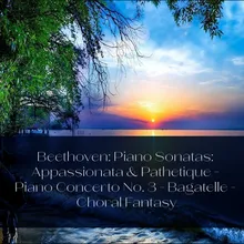 Piano Sonata No. 8 in C Minor, Op. 13 "Pathétique": I. Grave - Allegro di molto e con brio