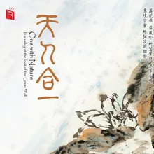 Birds Singing In The Mountains 二胡