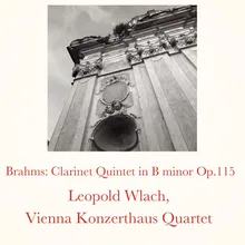 Clarinet Quintet in B minor, op. 115 I. Allegro