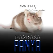 Namsaka Panya