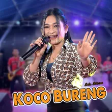 Koco Bureng Koplo Version