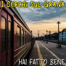 Hai fatto bene Radio edit