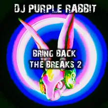 On the Rise DJ Purple Rabbit Glitch Hop Mix