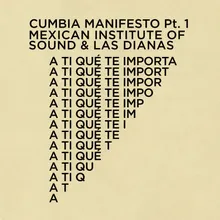 A Ti Que Te Importa Cumbia Manifesto Pt. 1