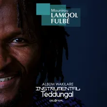 Teddungal (Instrumental) Album Wakilare