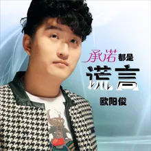 承诺都是谎言 Dj何鹏版