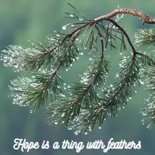 Hope Is the Thing with Feathers