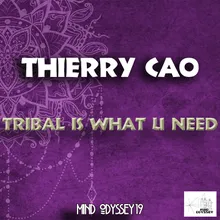 Tribal Is What U Need Branwasher Remix