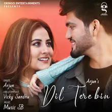 Dil Tere Bin