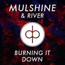 Burning It Down Radio Edit