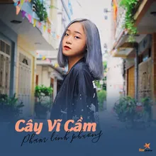 Cây Vĩ Cầm