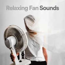Fan Noise Fx