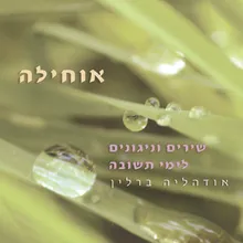 ברל'ס ניגון