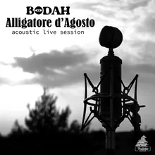 Alligatore d'agosto Acoustic Live Session