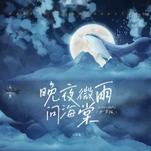 晚夜微雨问海棠 女声版