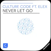 Never Let Go Extended Mix