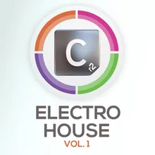 Electro House DJ Mix