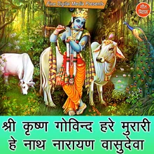 Shri Krishna Govind Hare Murari He Nath Narayan Vasudeva