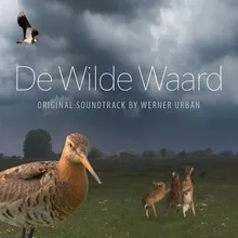 Hoe Een Ree Overleeft In Wintertijd