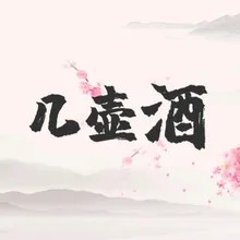 几壶酒 Dj沈念版