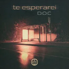 Te Esperarei