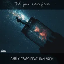 Til You Are Free Larry Peace Radio Edit